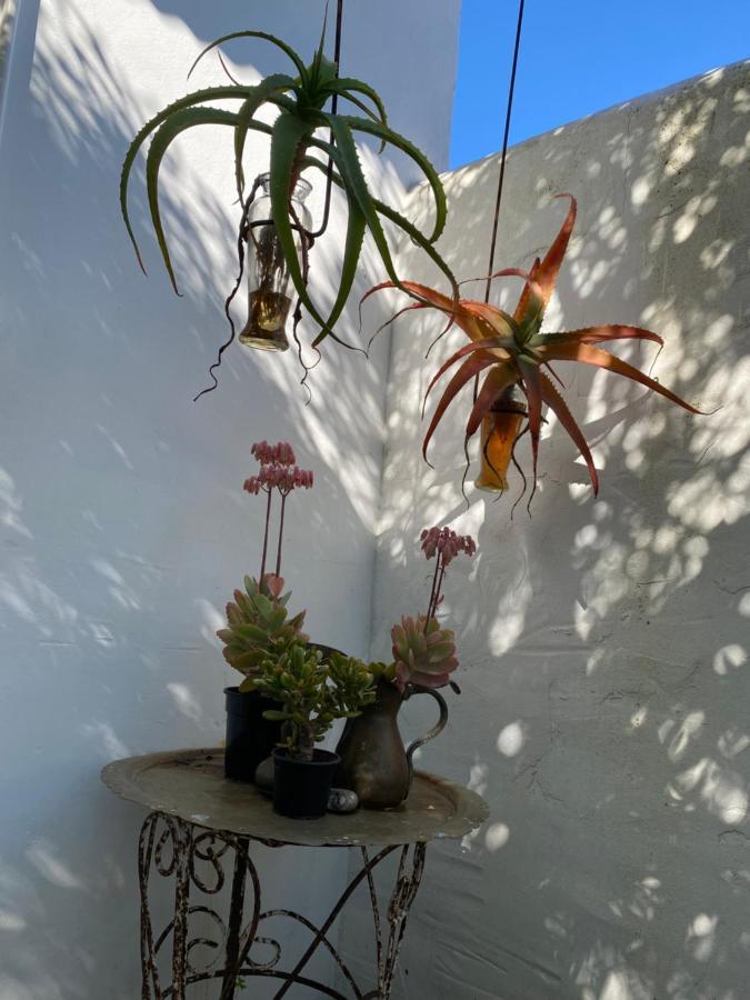 Gelukkie Hotel Paternoster Eksteriør billede